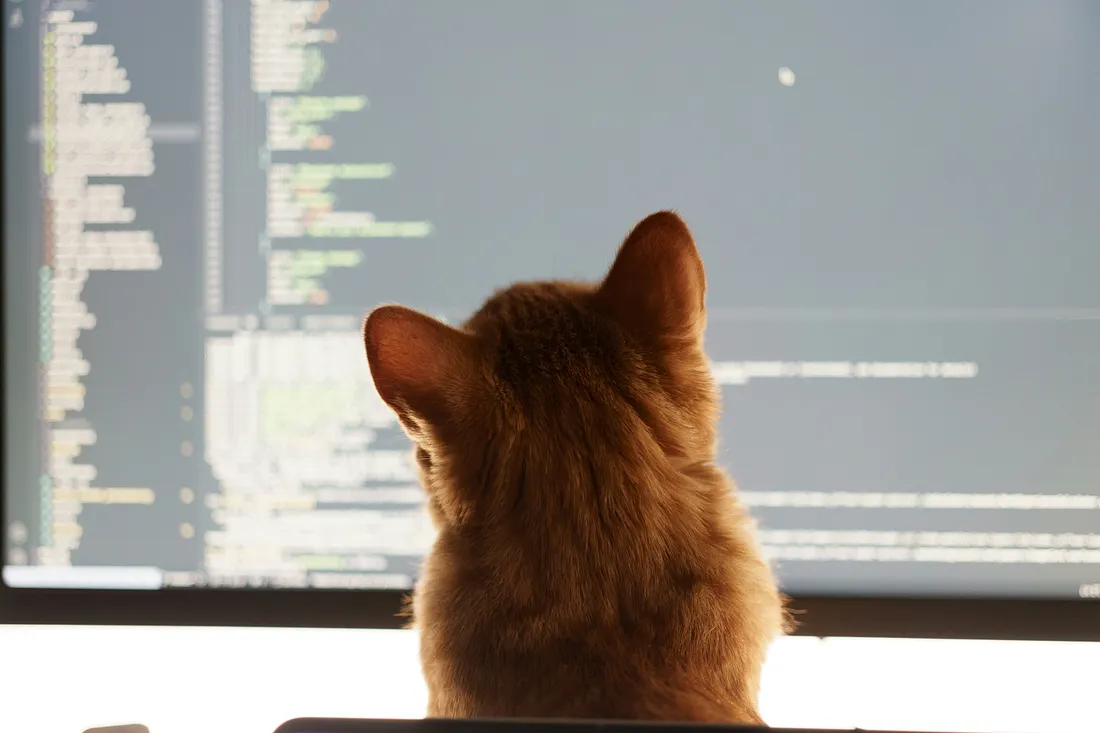 How to structure HTML like a vibe coder thumbnail
